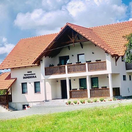 Agropensiunea Duminora Lăschia Exterior photo