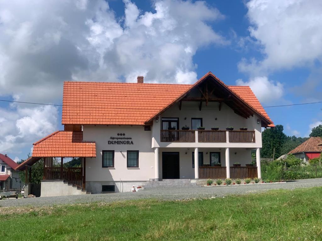 Agropensiunea Duminora Lăschia Exterior photo